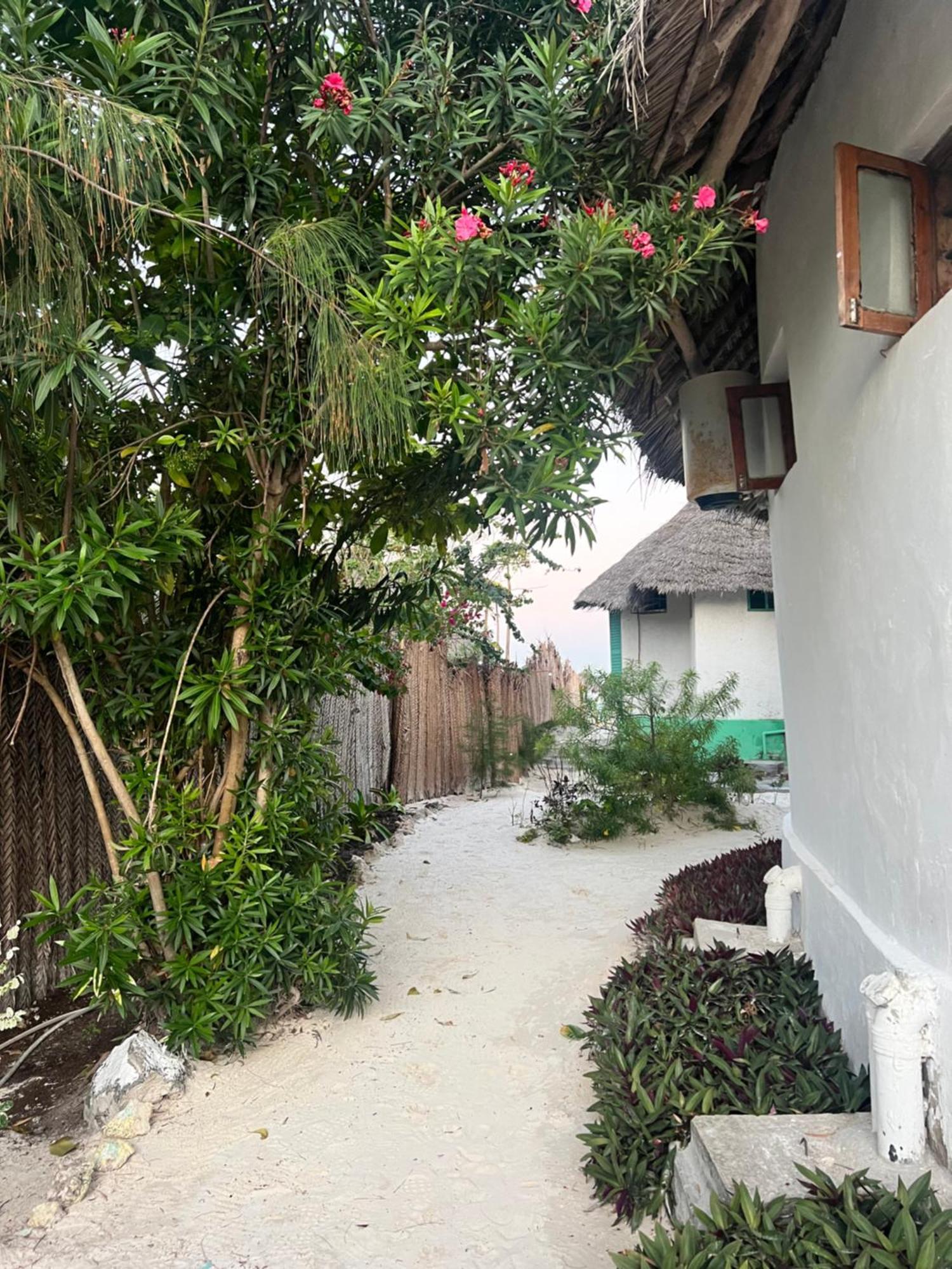 Duara Beach House Hotel Paje Exterior photo